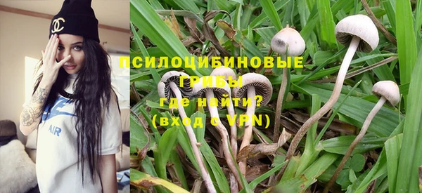 гашик Бронницы
