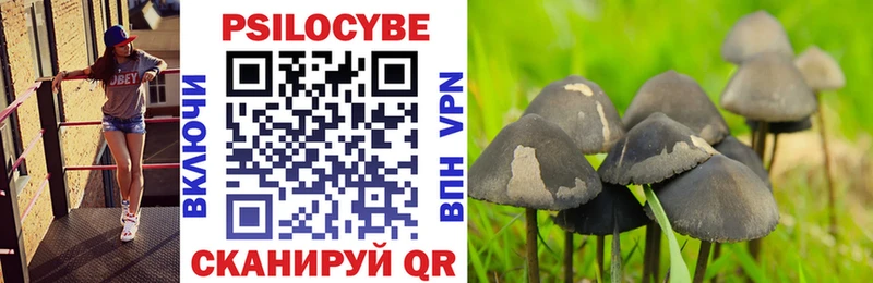 Псилоцибиновые грибы прущие грибы  наркота  Новотроицк 